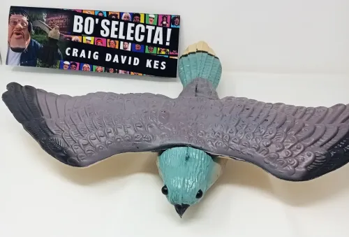 Bo Selecta : Craig David Kes